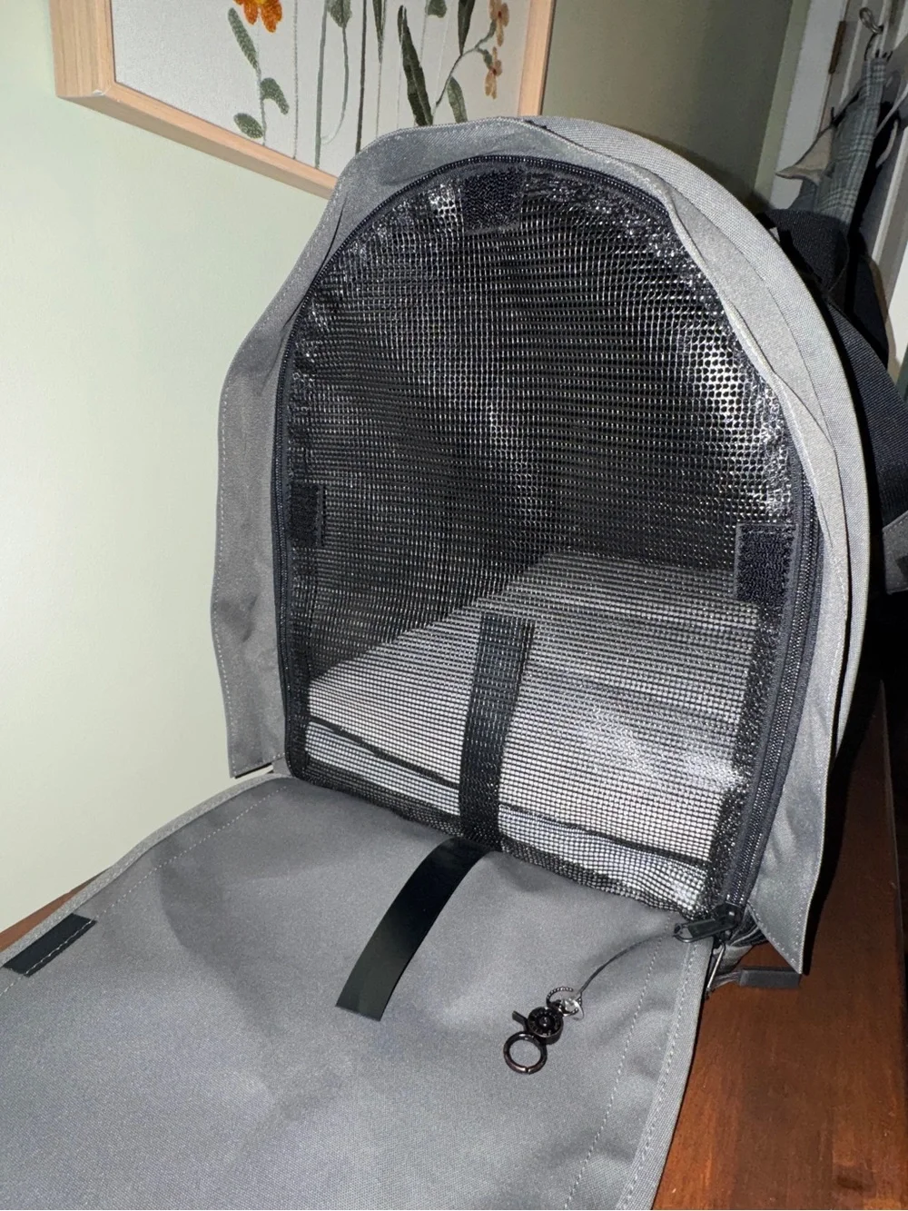 Sturdibag XL Dog Carrier - Never Used